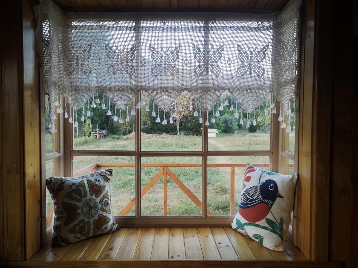 Cabana Jacaranda Salamanca المظهر الخارجي الصورة